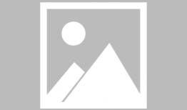 政宗君的复仇结局漫画,复仇终章的悲喜交织